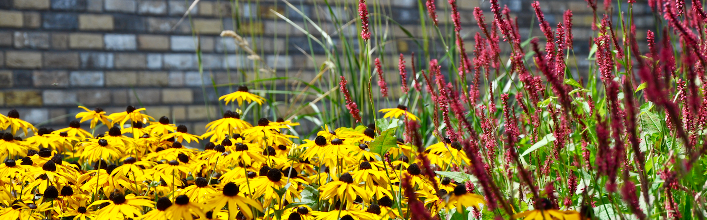 Voor het belang van huurders